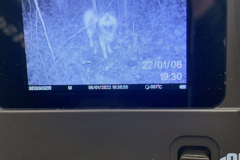 IMG-20220107-WA0010