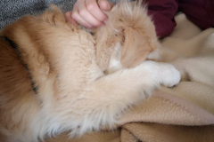 IMG-20220416-WA0021