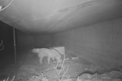 RNFetchBlobTmp_0t26ycrvja6mlwn56g88rj