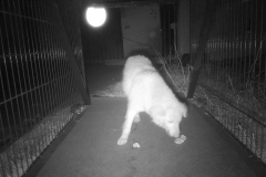 RNFetchBlobTmp_sl7xcnzjtvfyxaqfp0geuk