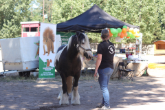 IMG_1377.JPG