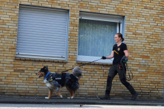 Impressionen aus unserem Training 