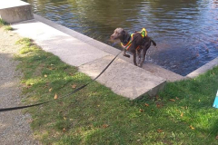 FB_IMG_1605138522585