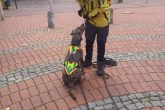 FB_IMG_1605138524902-1