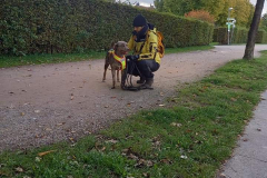 FB_IMG_1605138528859