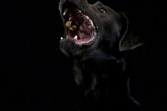 1_IMG-20220409-WA0045