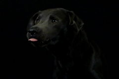 IMG-20220409-WA0035