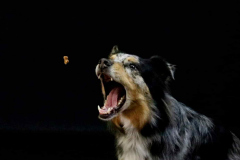 IMG-20220409-WA0059-1