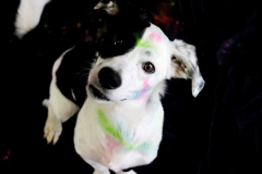IMG-20220409-WA0108